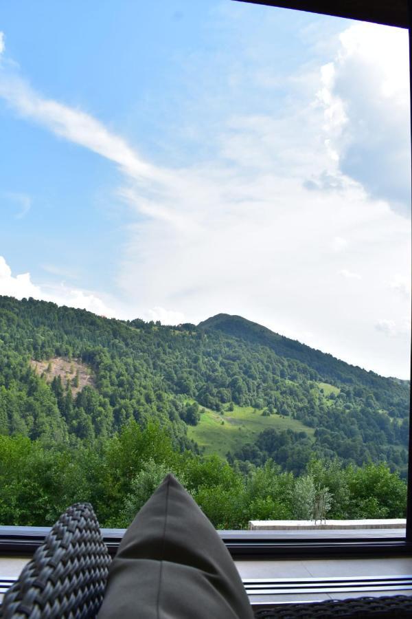 Silver View Kopaonik Exteriör bild